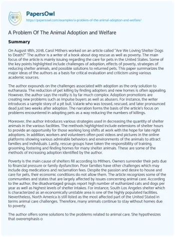 Essay on A Problem of the Animal Adoption and Welfare