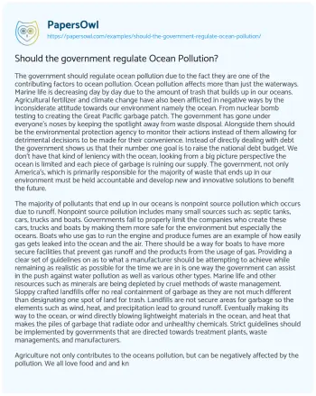 Essay on Should the Government Regulate Ocean Pollution?