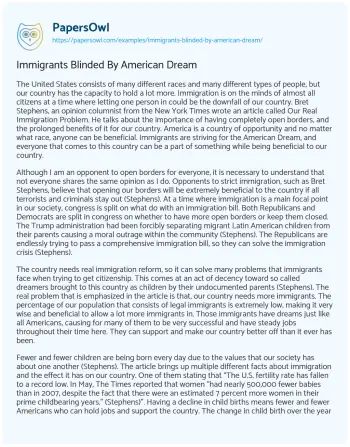 Essay on Immigrants Blinded by American Dream