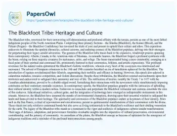 Essay on The Blackfoot Tribe: Heritage and Culture