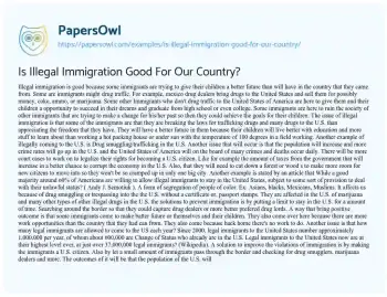 Essay on Is Illegal Immigration Good for our Country?