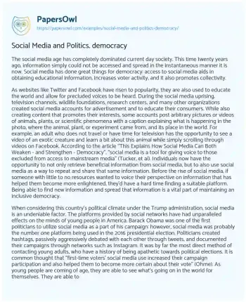 Essay on Social Media and Politics. Democracy