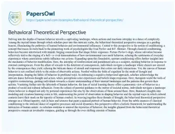 Essay on Behavioral Theoretical Perspective