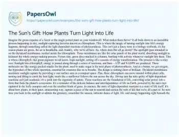 Essay on The Sun’s Gift: how Plants Turn Light into Life