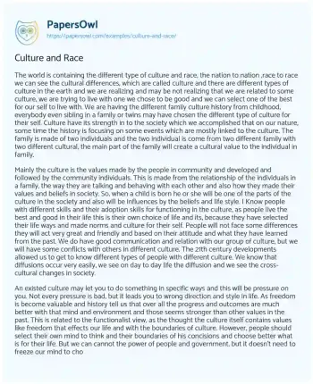 Essay on Culture and Race