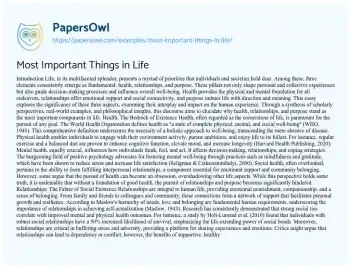 Essay on Most Important Things in Life