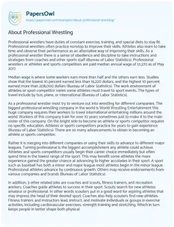 Essay on About Professional Wrestling