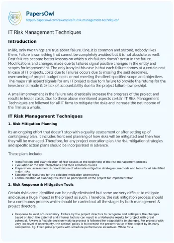 Essay on IT Risk Management Techniques