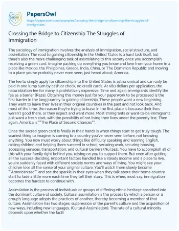 Essay on Crossing the Bridge to Citizenship the Struggles of Immigration