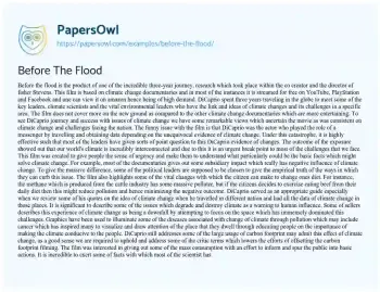 Essay on Before the Flood: Summary