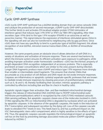 Essay on Cyclic GMP-AMP Synthase