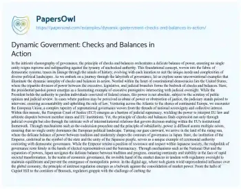 Essay on Dynamic Government: Checks and Balances in Action