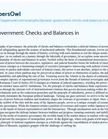 Essay on Dynamic Government: Checks and Balances in Action