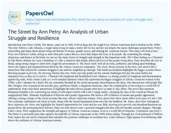 Essay on The Street by Ann Petry: an Analysis of Urban Struggle and Resilience