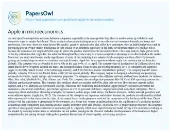 Essay on Apple in Microeconomics