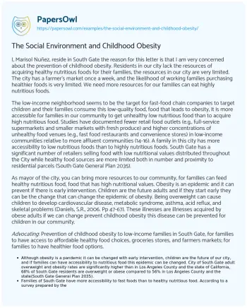 Essay on The Social Environment and Childhood Obesity