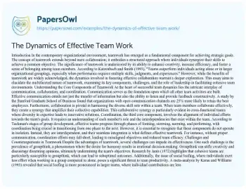 Essay on The Dynamics of Effective Team Work