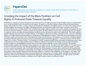 Essay on Unveiling the Impact of the Black Panthers on Civil Rights: a Profound Stride Towards Equality