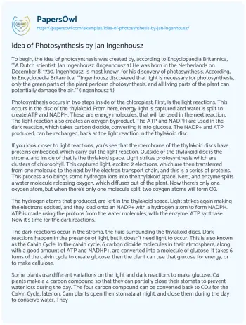 Essay on Idea of Photosynthesis by Jan Ingenhousz