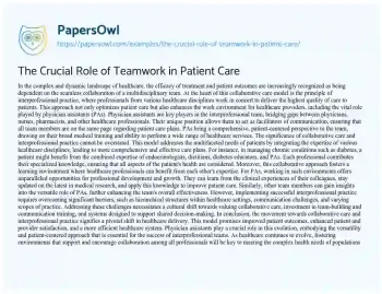 Essay on The Crucial Role of Teamwork in Patient Care