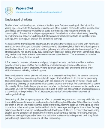 Essay on Underaged Drinking