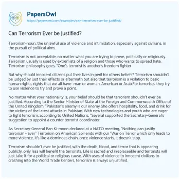 Essay on Can Terrorism Ever be Justified?