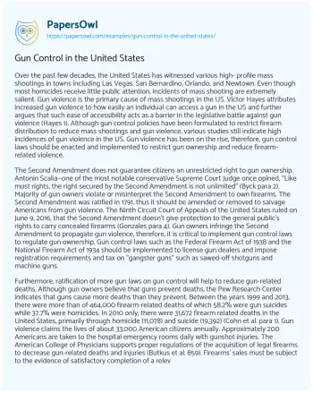 Essay on Gun Control in the United States