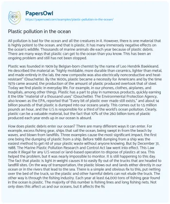 Essay on Plastic Pollution in the Ocean