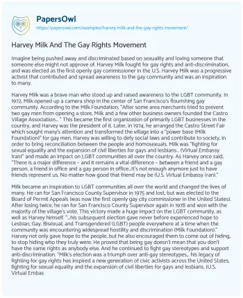 Essay on Harvey Milk and the Gay Rights Movement