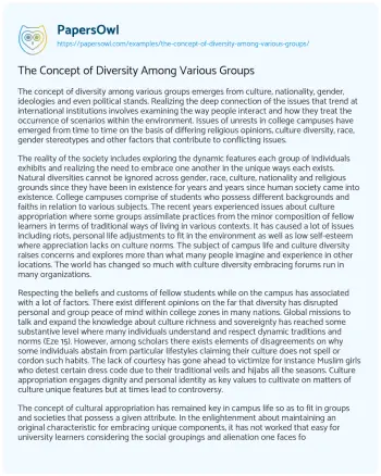 Essay on The Concept of Diversity Among Various Groups