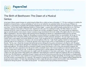 Essay on The Birth of Beethoven: the Dawn of a Musical Genius