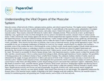 Essay on Understanding the Vital Organs of the Muscular System