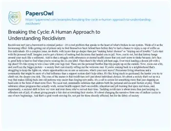 Essay on Breaking the Cycle: a Human Approach to Understanding Recidivism