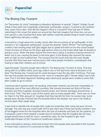 Essay on The Boxing Day Tsunami