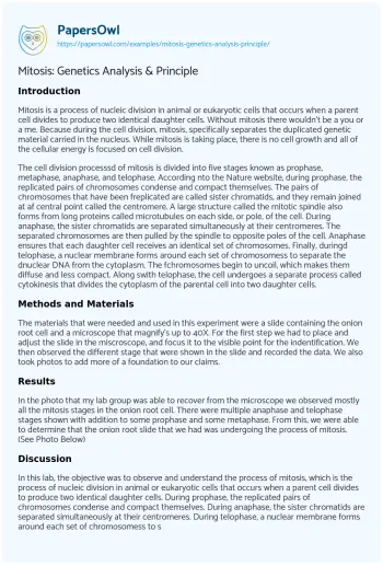 Essay on Mitosis: Genetics Analysis & Principle