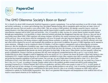 Essay on The GMO Dilemma: Society’s Boon or Bane?