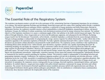 Essay on The Essential Role of the Respiratory System