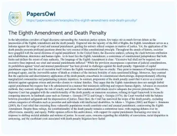 Essay on The Eighth Amendment and Death Penalty