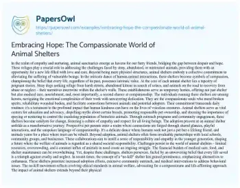 Essay on Embracing Hope: the Compassionate World of Animal Shelters