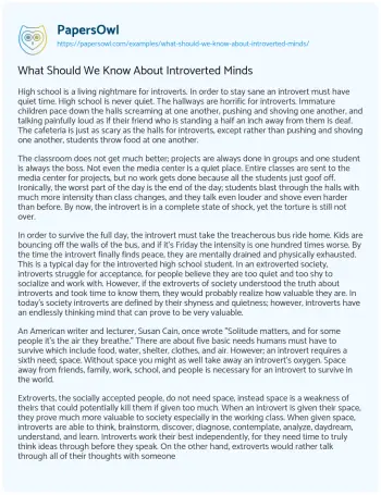 Essay on What should we Know about Introverted Minds