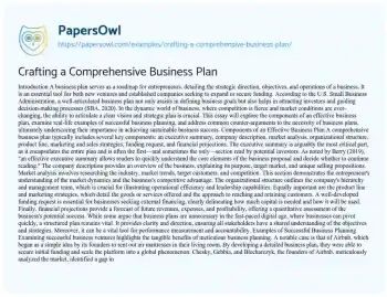 Essay on Crafting a Comprehensive Business Plan