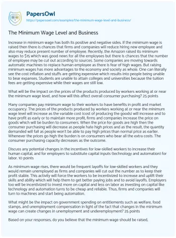 Essay on The Minimum Wage Level and Business