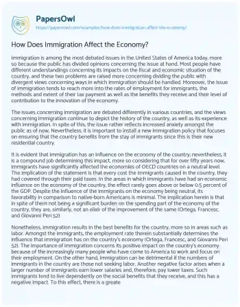 Essay on How does Immigration Affect the Economy?