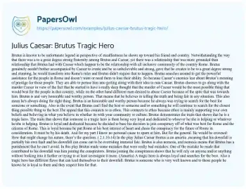 Essay on Julius Caesar: Brutus Tragic Hero