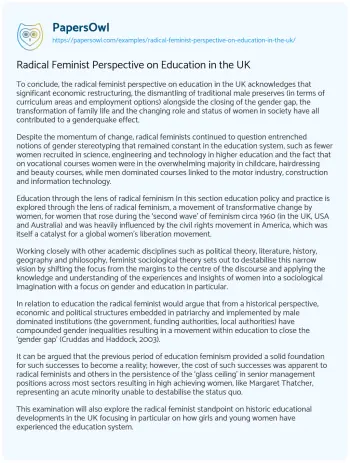 Essay on Radical Feminist Perspective on Education in the UK