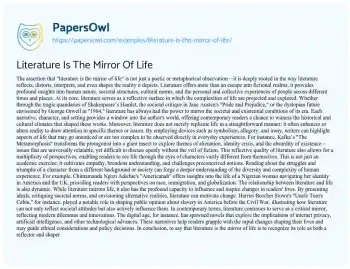 Essay on Literature is the Mirror of Life