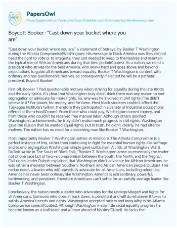 Essay on Boycott Booker : “Cast down your Bucket where you Are”