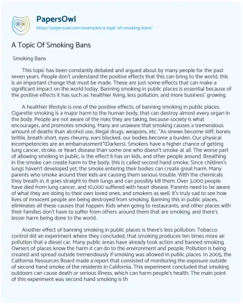 Essay on A Topic Of Smoking Bans