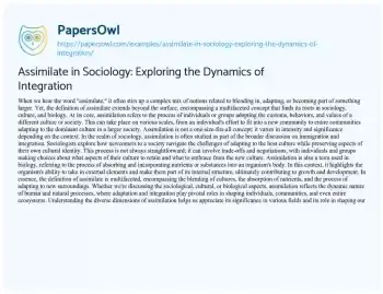 Essay on Assimilate in Sociology: Exploring the Dynamics of Integration