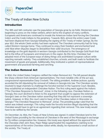 Essay on The Treaty of Indian New Echota